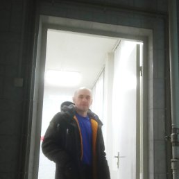 Fillin, ������, 44 ����