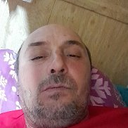 , 50 , 