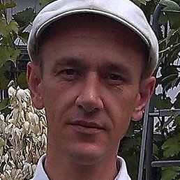 ������, �������, 49 ���