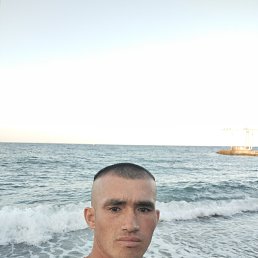 ���� �����, ������, 33 ���� - ��������� 15 ������� 2024