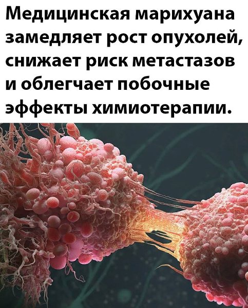     - 2