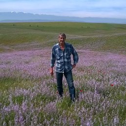 ������, ������, 60 ���