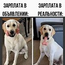 ���� �����, ������, 39 ��� - ��������� 4 ������ 2025 � ������ ������ ��������