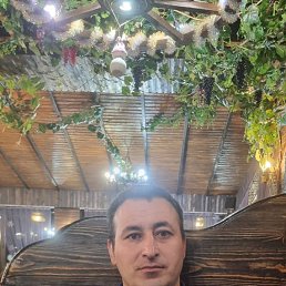 , 37, 