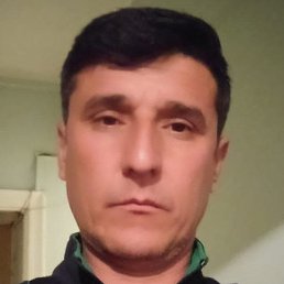 ������, ������, 41 ���