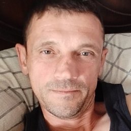 ������, ������������, 43 ����