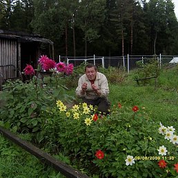 ����, �����-���������