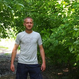 ���� �������, ������, 33 ���� - ��������� 10 ������� 2026