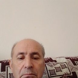 , 65 , 