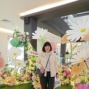 �����, 67 ���, �����