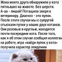 ���� ����, ��������� - ��������� 12 ������� 2026 � ������ ������ ��������