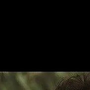 ����, 19 ���, ������