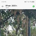 ���� �����, ���������, 33 ���� - ��������� 4 ������ 2026 � ������ ���� ����������