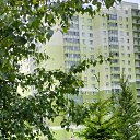 ���� �����, �����-���������, 60 ��� - ��������� 26 ���� 2025