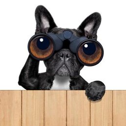 �����, ������, 72 ����