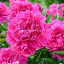 ���� �������, ������������, 60 ��� - ��������� 8 ������� 2023 � ������ �������