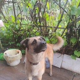 ���� ������, �����, 41 ��� - ��������� 17 ���� 2024