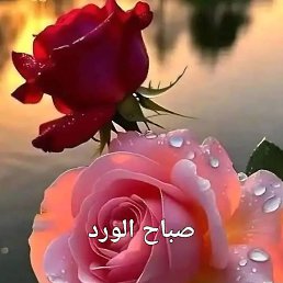 Khaled, ������������, 55 ���