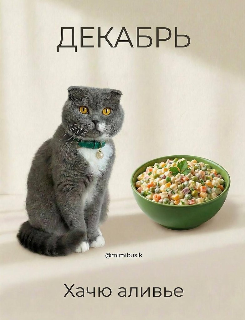 �����������������y�� - 8