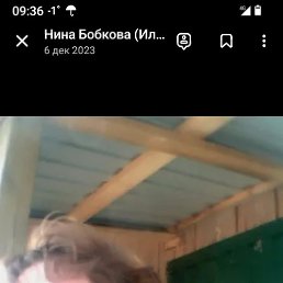 ����, ����, 59 ���