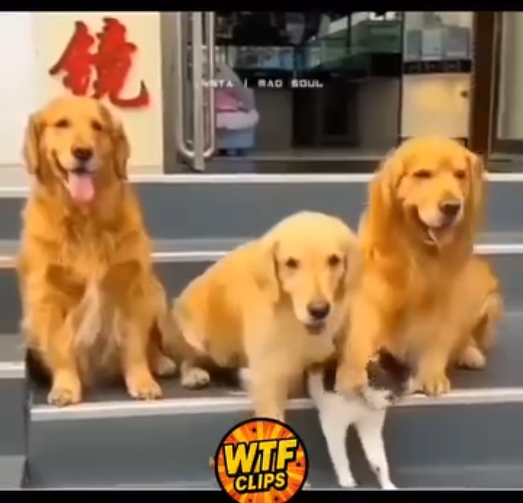 -  !  ?   ? ? ! - ! ! -  ,  ... - 2