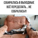���� ������ =^..^=, ������ - ��������� 21 ������� 2023 � ������ ������ ��������