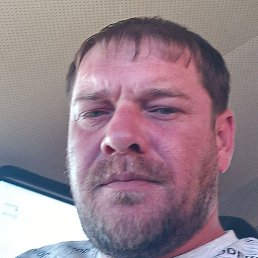 ������ �������, �����������, 36 ���