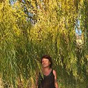 ���� �������, ����� - ��������� 7 �������� 2025 � ������ ���� ����������