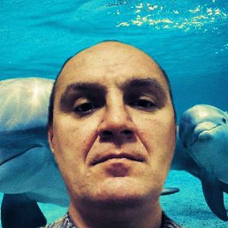 �������, ������, 52 ����