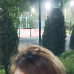 , 56, 