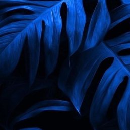 �����, �����������, 18 ���