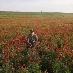 ������, ���������, 35 ���