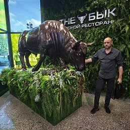 ����������, ������, 37 ���