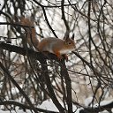 ���� ������ ����, ������, 49 ��� - ��������� 17 ������ 2026 � ������ ������ ��������