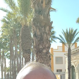 Ivan, ������, 46 ���