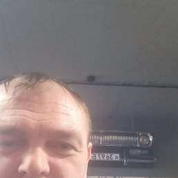 �����, 46 ���, ����-���