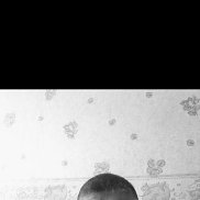 ������ ������, 43 ����, �����������