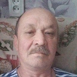 , 54, 