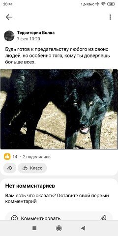 ���� Erkebylan, ����-�����������, 43 ���� - ��������� 22 ������� 2024
