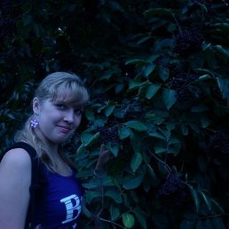 ����, ����������, 34 ����