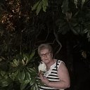 ���� �������, ����������, 75 ��� - ��������� 19 ��� 2024