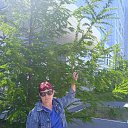 ���� ��������, �����������, 55 ��� - ��������� 28 ��� 2025 � ������ ���� ����������