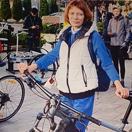 ���� ������, ������, 41 ��� - ��������� 5 ����� 2026