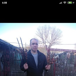 ���� ������, �������, 48 ��� - ��������� 27 ������ 2023