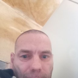 , 40, 