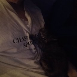 ���� ������, ����, 20 ��� - ��������� 1 ������ 2026