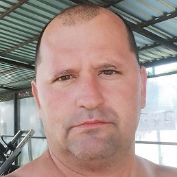 ������, ��������, 50 ���