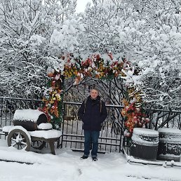 �������, �����-���������, 43 ����