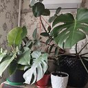 ���� ������, ������-��-����, 48 ��� - ��������� 24 ������ 2023 � ������ ���� ����������