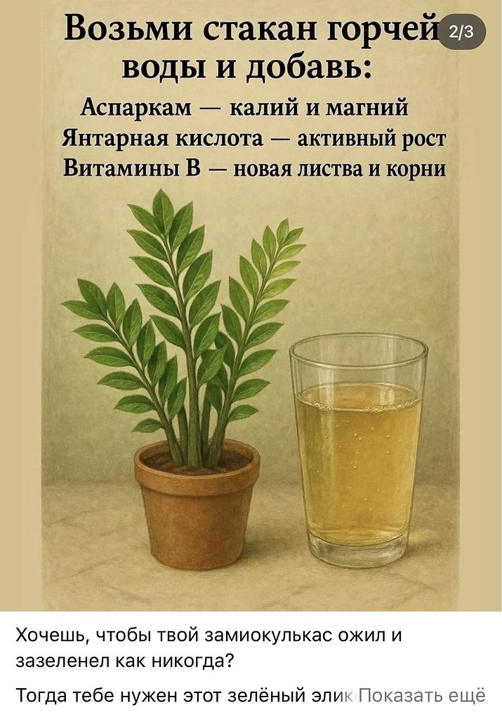 ���� ���������� - 5 ������ 2026 � 13:11 - 2